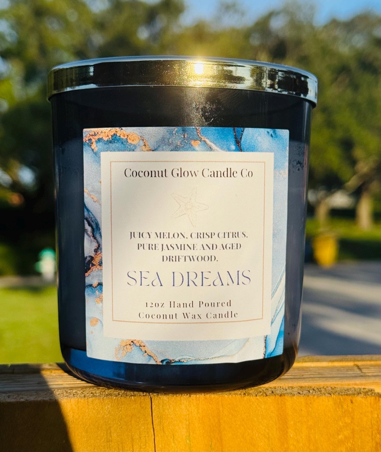 Sea Dreams Candle, Coastal Scented Candle, Ocean Breeze Driftwood Candle, Melon Jasmine Coconut Wax Candle, Beach House Decor, Cotton Wick