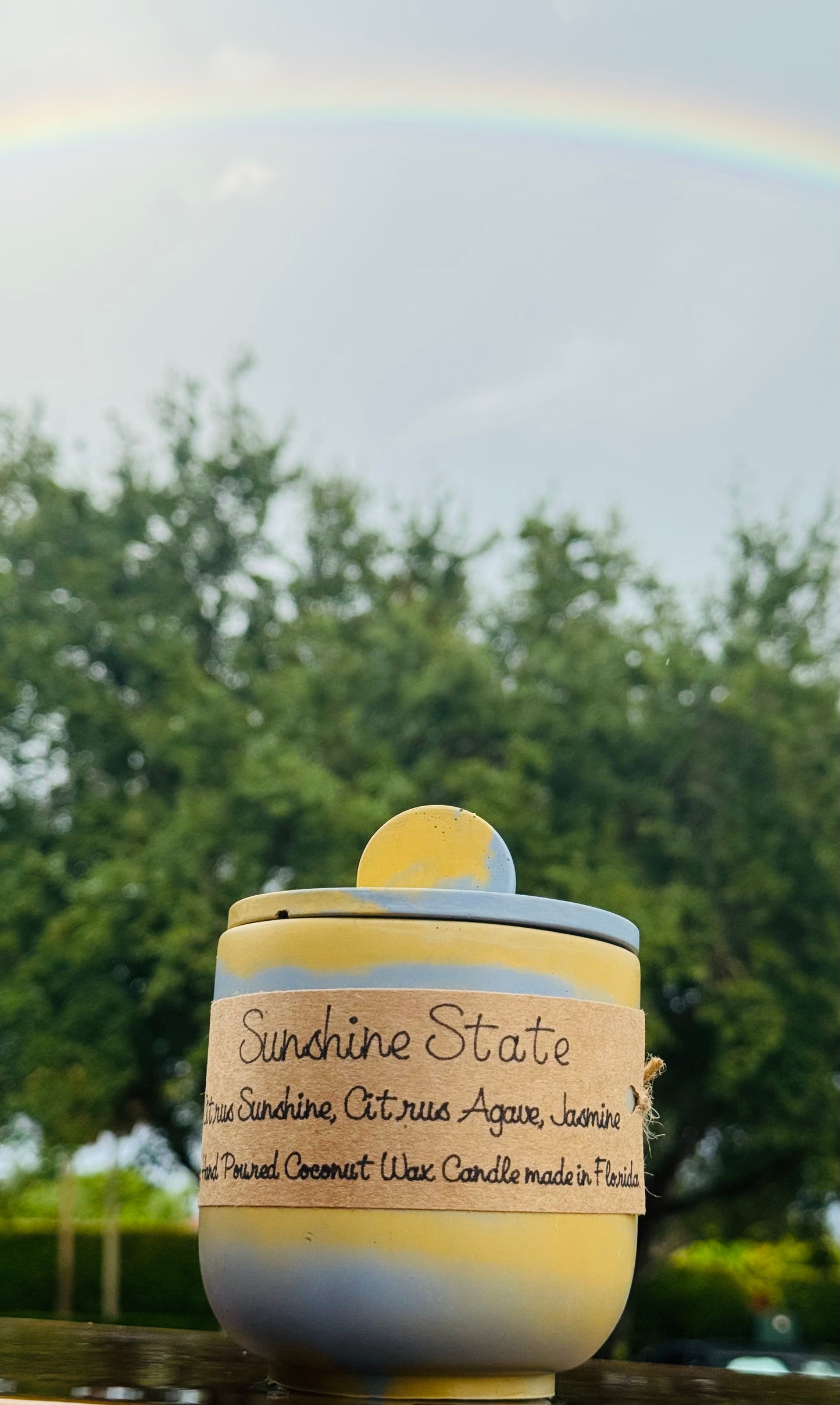 Sunshine State - 9 oz Concrete Candle