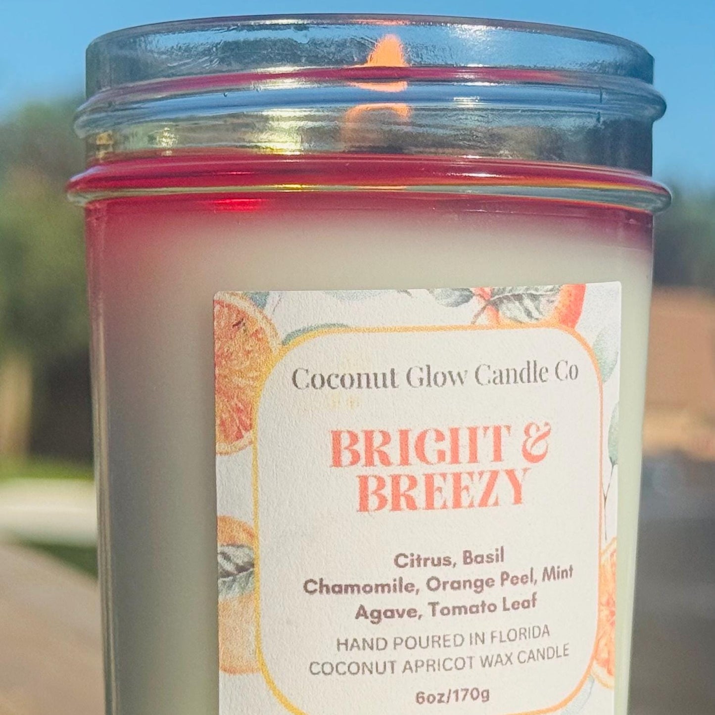Beach House Decor Candle, Summer Citrus Basil Scented Candle, Handmade Coconut Wax, Fresh Herb Orange Peel, Gift for Her, Bright & Breezy