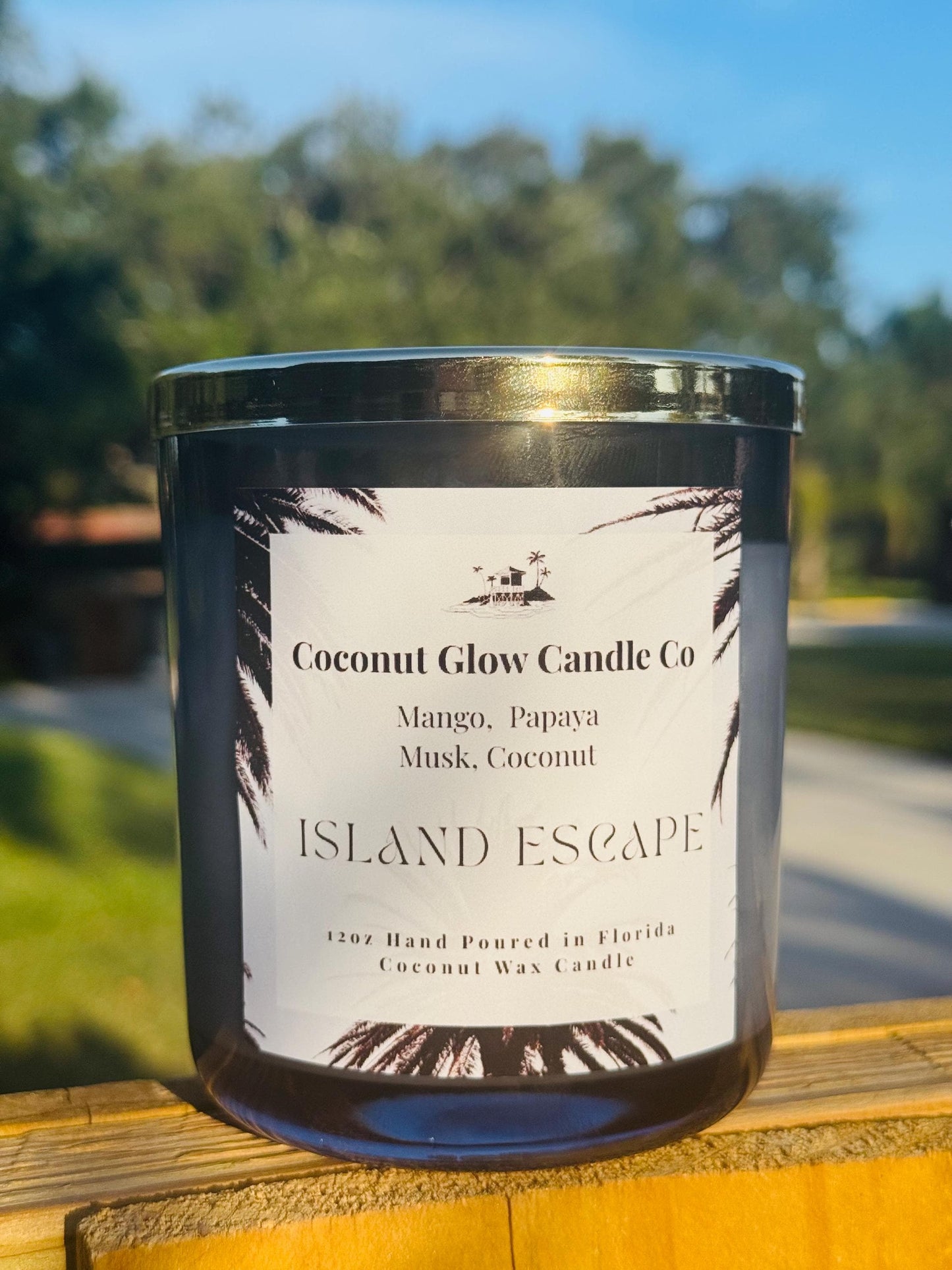 Tropical Mango Papaya Candle, Coconut Musk Scented Candle, Beach House Decor, Fruity Summer Gift, Handmade in Florida