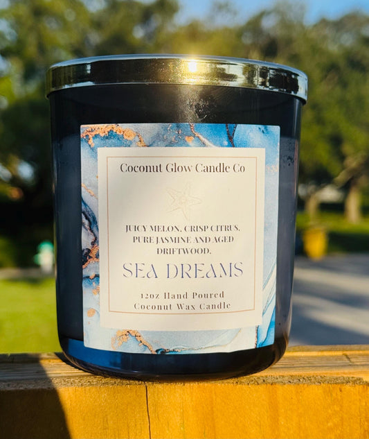 Sea Dreams Candle, Coastal Scented Candle, Ocean Breeze Driftwood Candle, Melon Jasmine Coconut Wax Candle, Beach House Decor, Cotton Wick